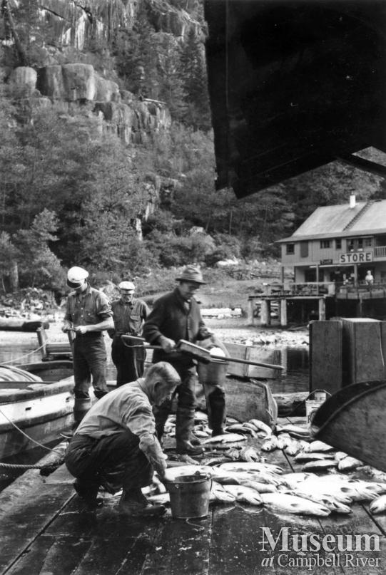 Gillnetter's catch at dock at Stuart Island
