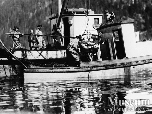 Unloading a catch of salmon to a packer
